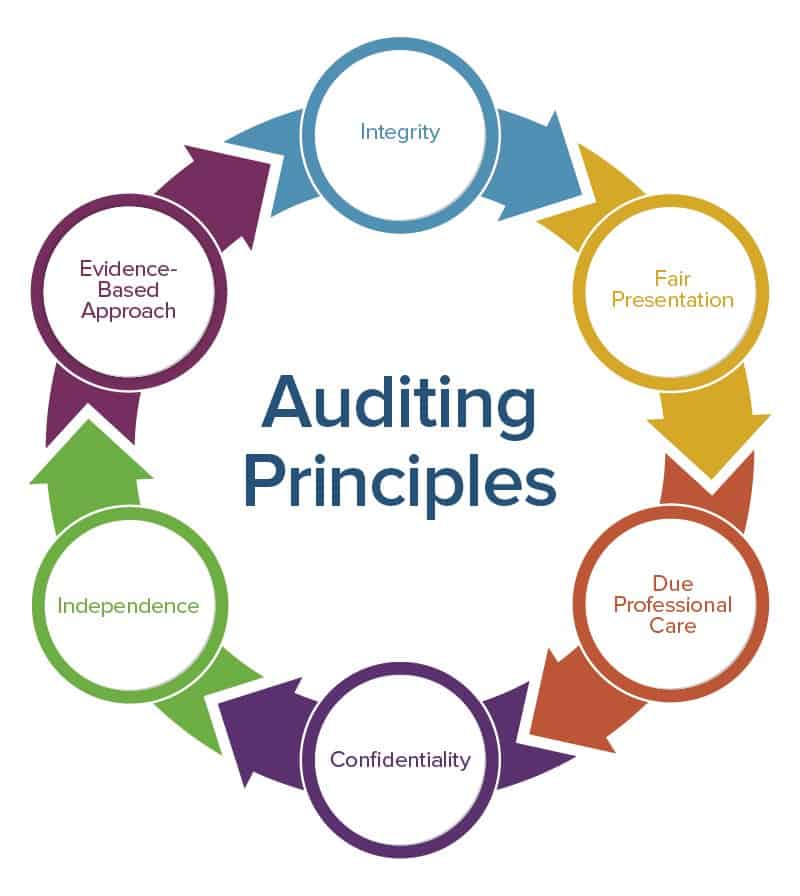 Auditing and Assurance Principles