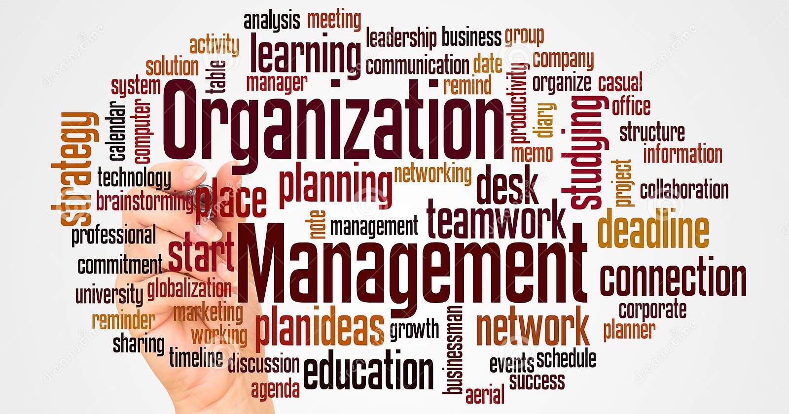 BUSINESS ORGANIZATION AND MANAGEMENT - BSE 1C
