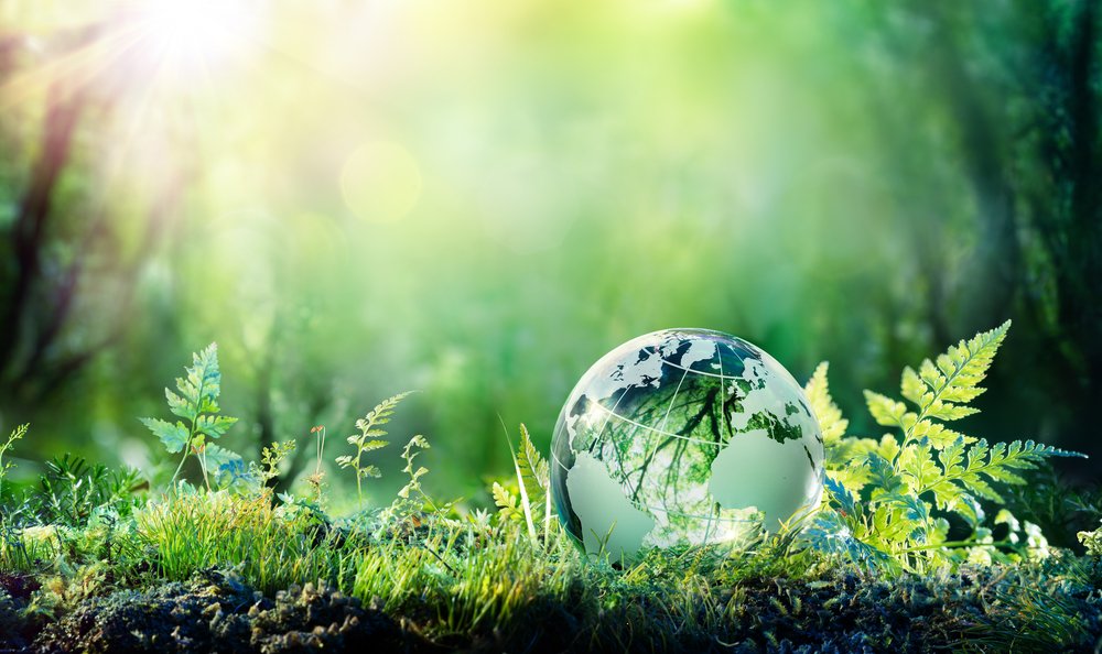 ENVIRONMENTAL SCIENCE - MBP
